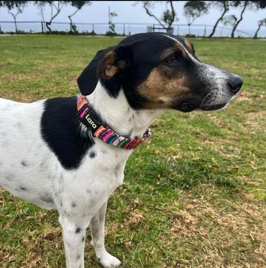 Lara en el parque luciendo su collar personalizado de telas andinas